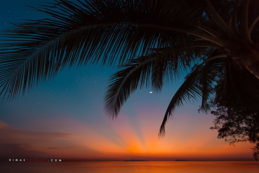 Praia tropical com a silhueta de palmeiras ao pôr do sol, com reflexos coloridos na água