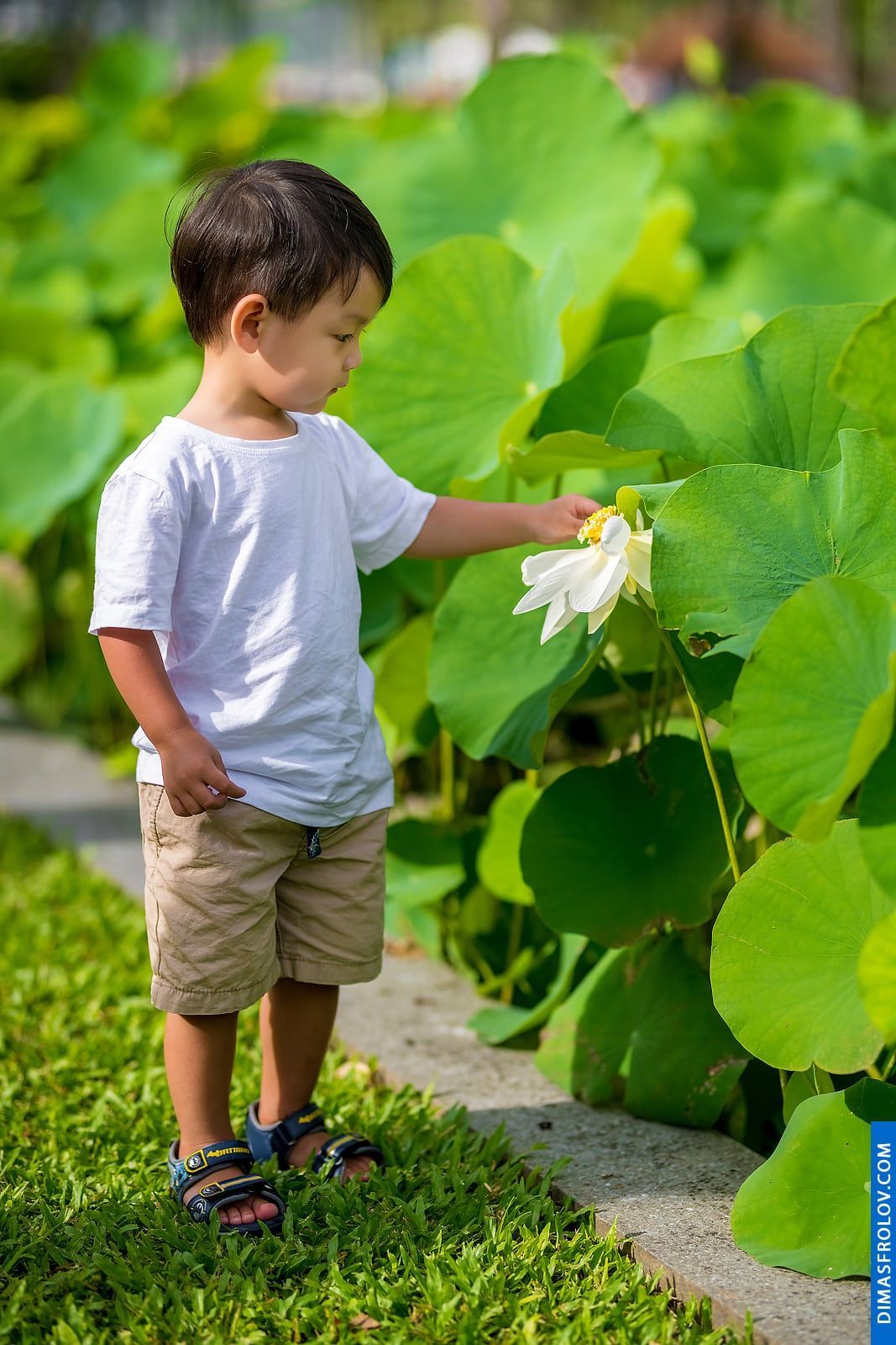 family ครอบครัว Chau. บาทต่อภาพ 47766 (2023-05-03 21:54:32)