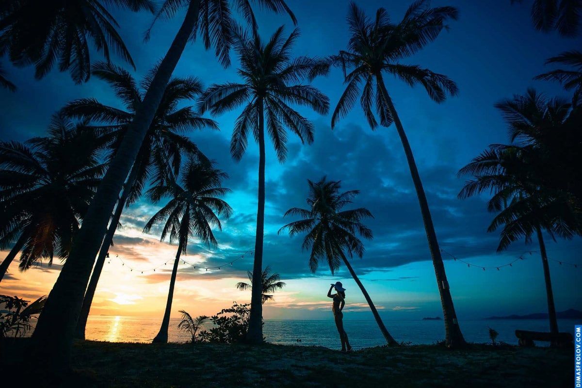 Silhouetted tropical beach photo of a woman at sunset with tall palm trees