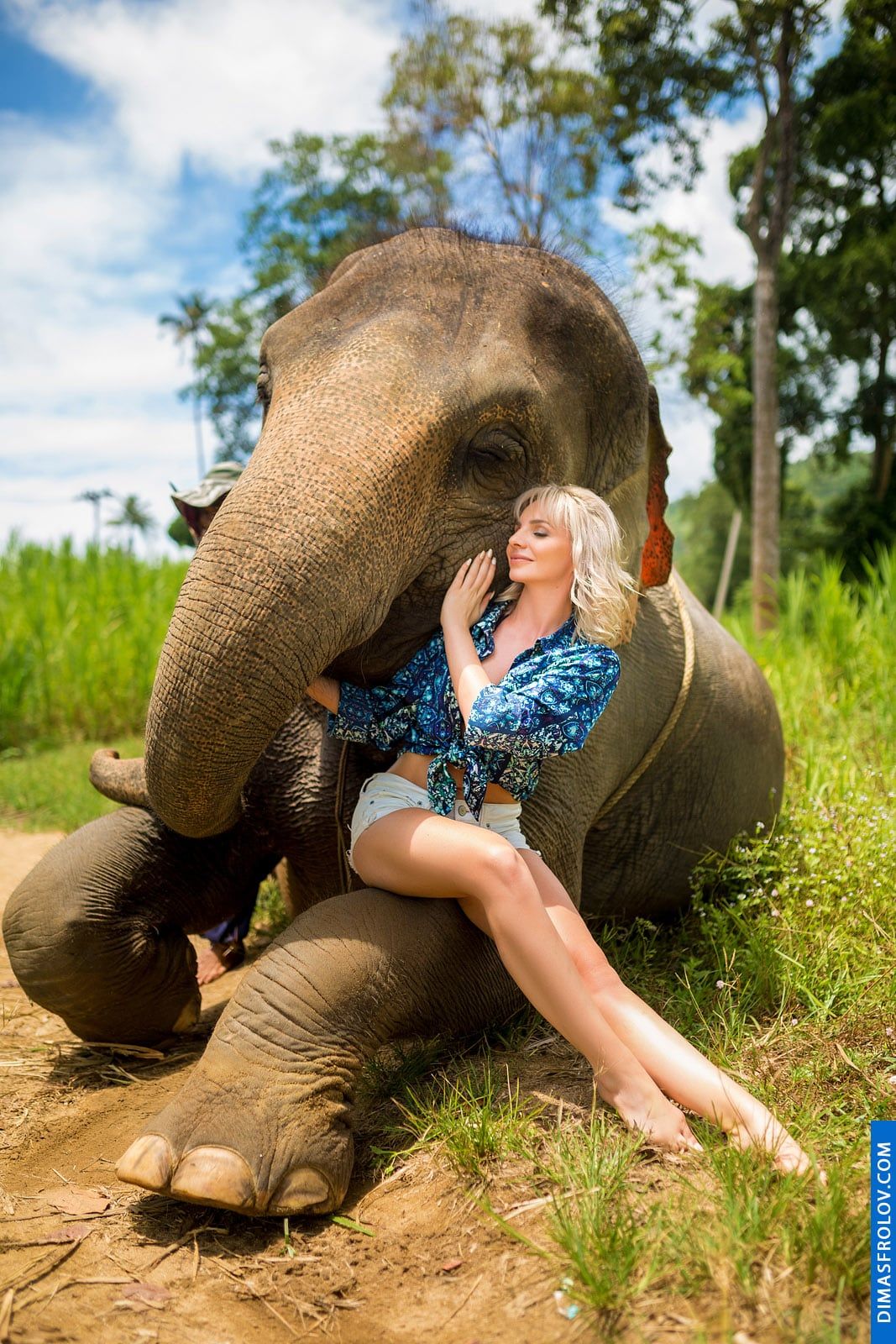 Exotic photo shoot with blonde girl relaxing beside an elephant in tropical landscape