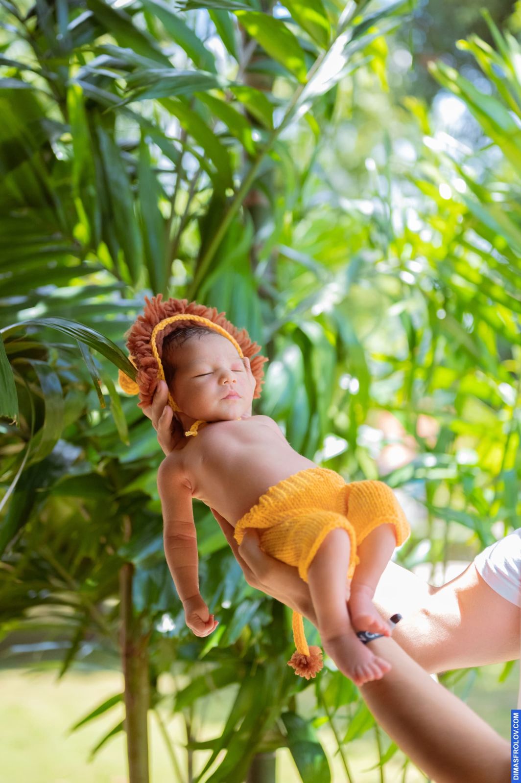 maternity หนูน้อย August. บาทต่อภาพ 114170 (2023-05-03 22:14:55)