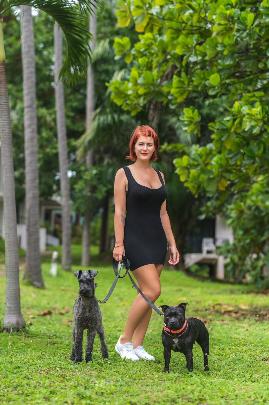 Valeriia @EasyDogMe. Dog photo shoot. Photo 117829 (2023-05-03 22:16:29)