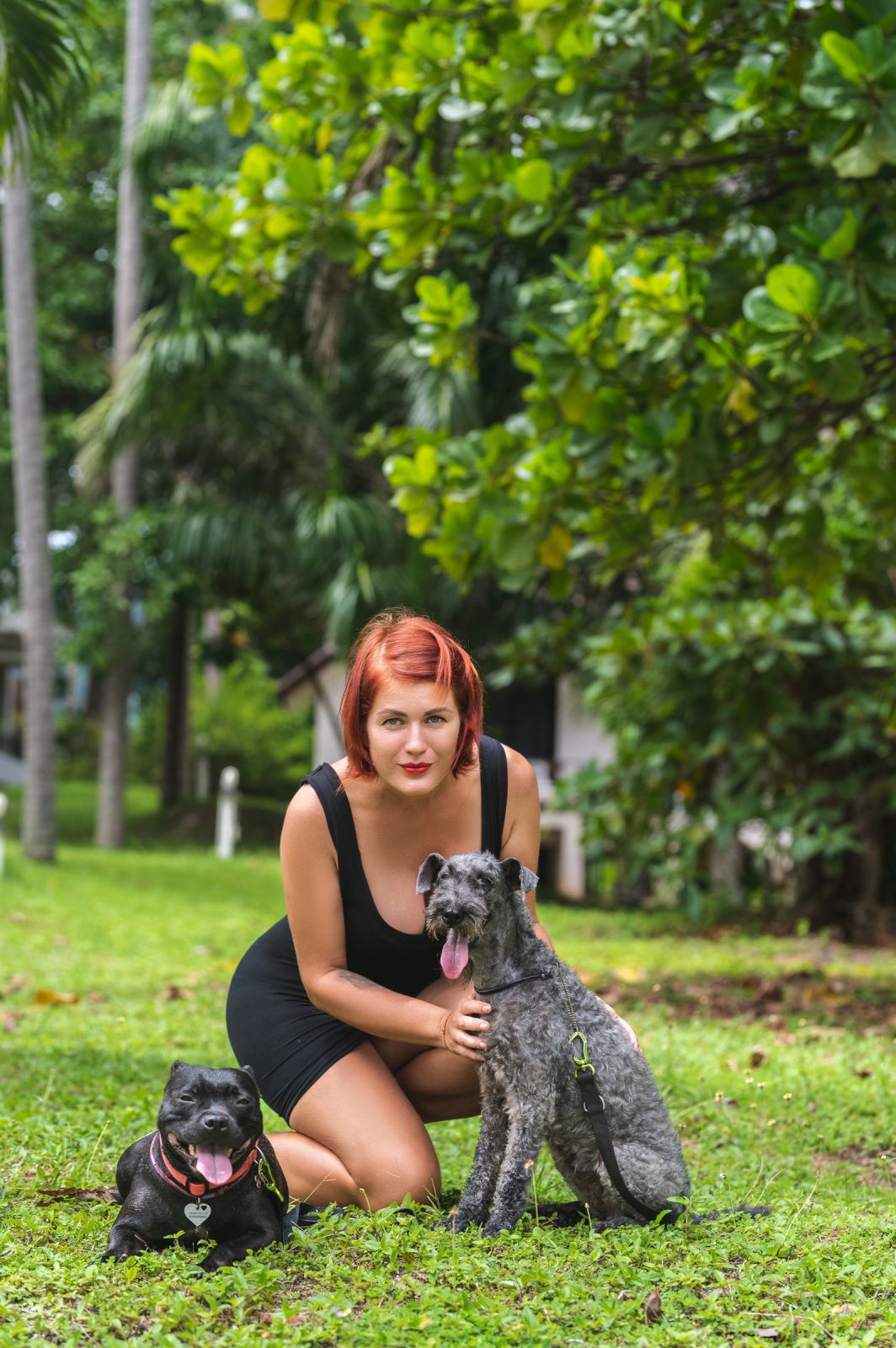 Valeriia @EasyDogMe. Dog photo shoot. Photo 117836 (2023-05-03 22:16:30)