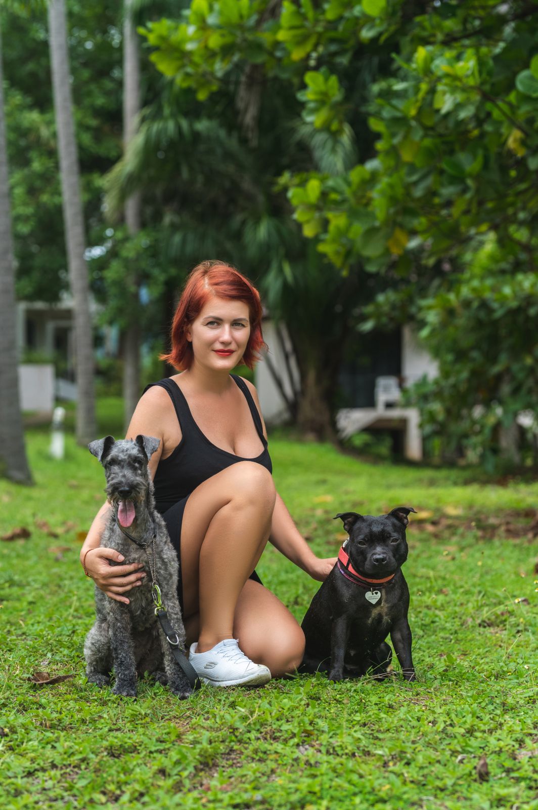 Valeriia @EasyDogMe. Dog photo shoot. Photo 117830 (2023-05-03 22:16:29)