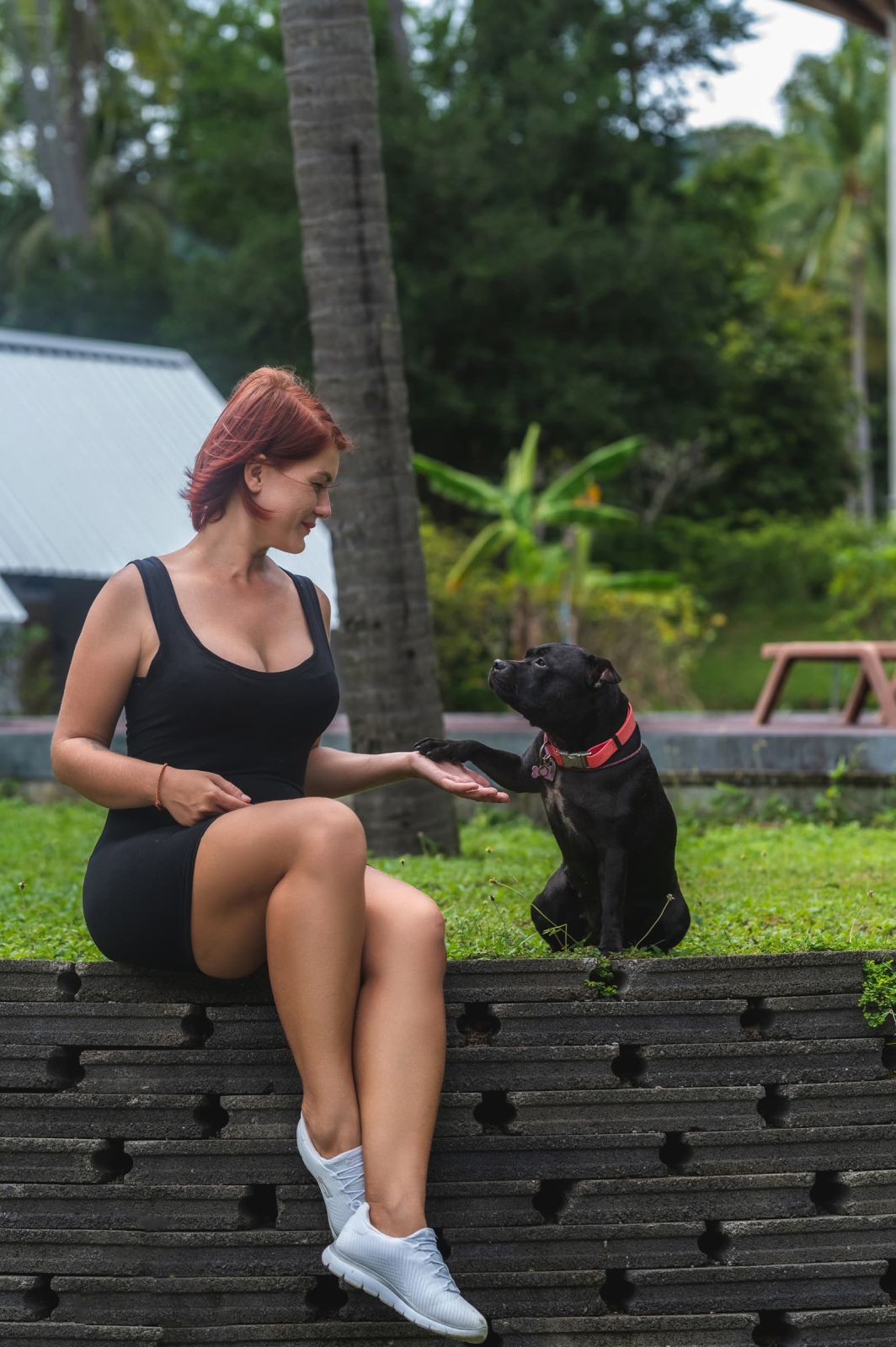 Valeriia @EasyDogMe. Dog photo shoot. Photo 117833 (2023-05-03 22:16:30)