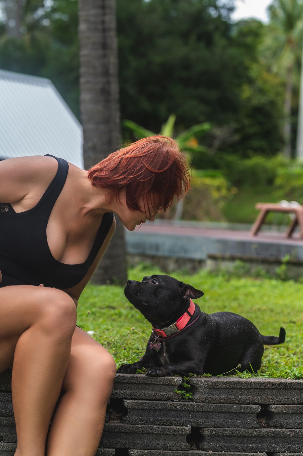 Valeriia @EasyDogMe. Dog photo shoot. Photo 117834 (2023-05-03 22:16:30)