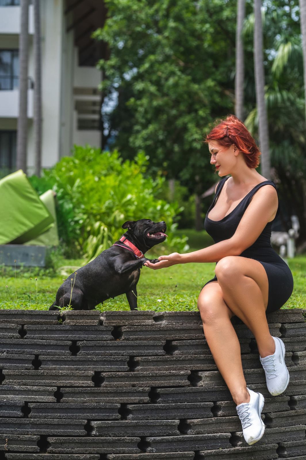 Valeriia @EasyDogMe. Dog photo shoot. Photo 117835 (2023-05-03 22:16:30)
