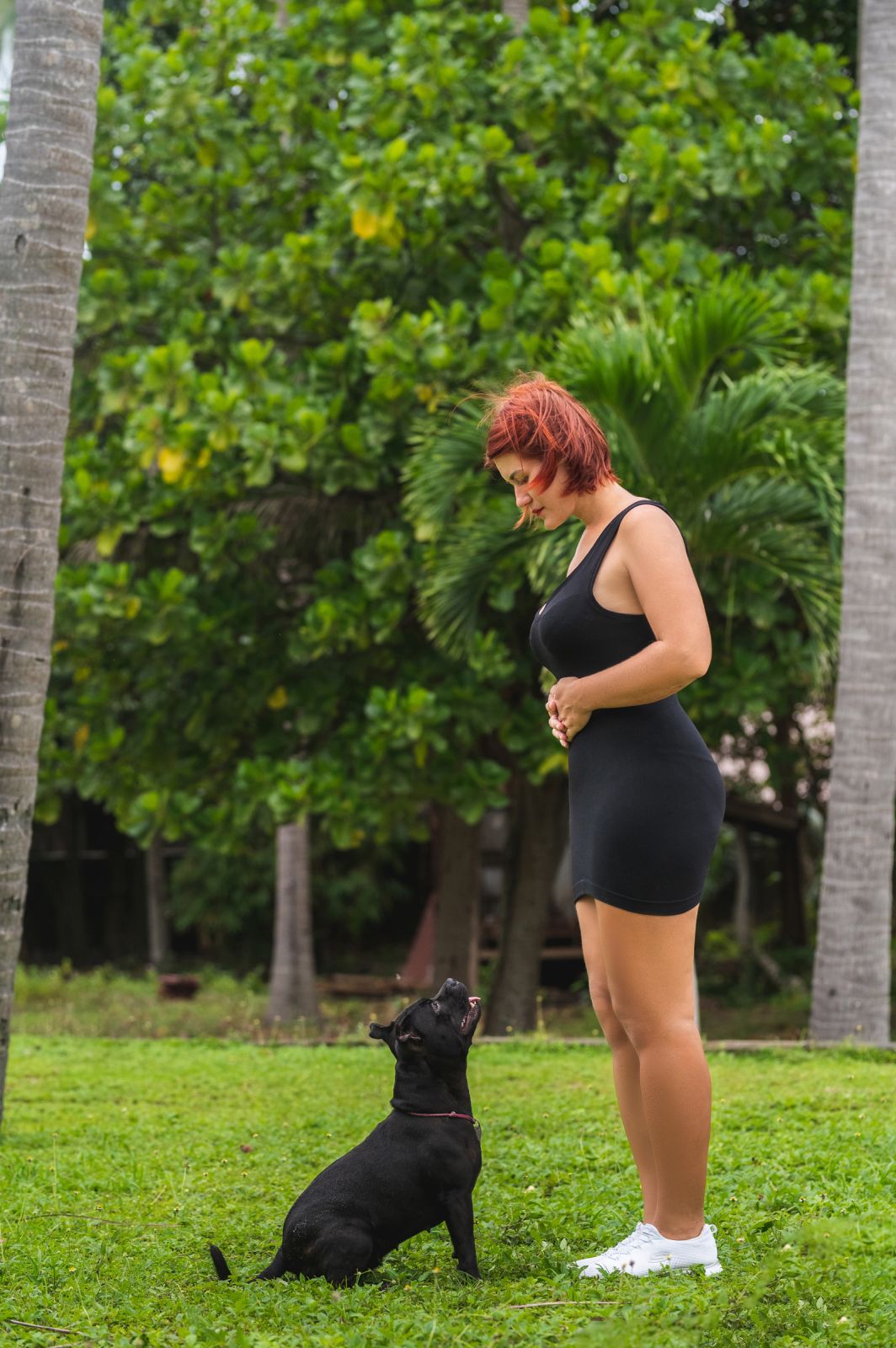 Valeriia @EasyDogMe. Dog photo shoot. Photo 117843 (2023-05-03 22:16:30)