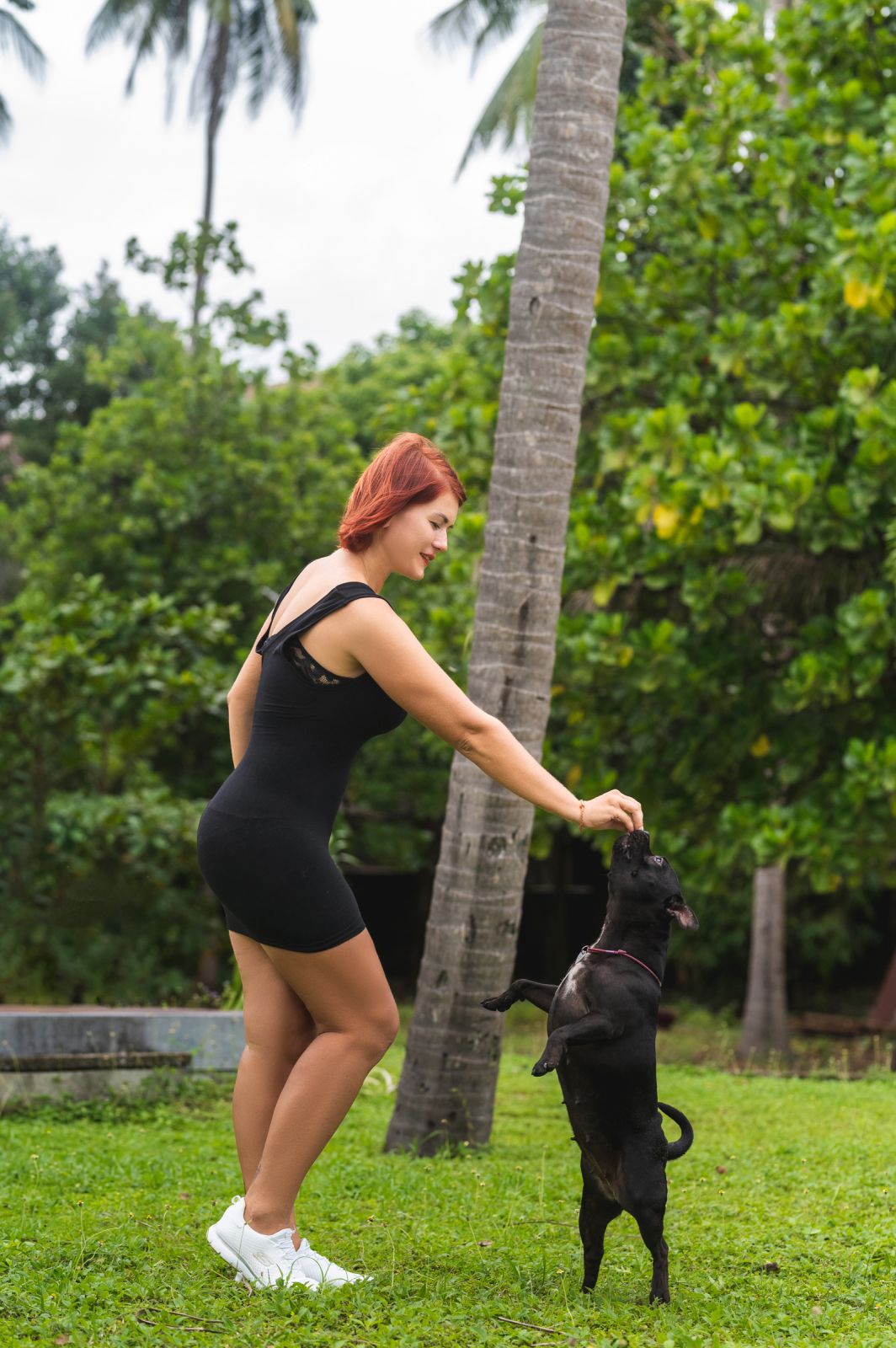 Valeriia @EasyDogMe. Dog photo shoot. Photo 117855 (2023-05-03 22:16:30)