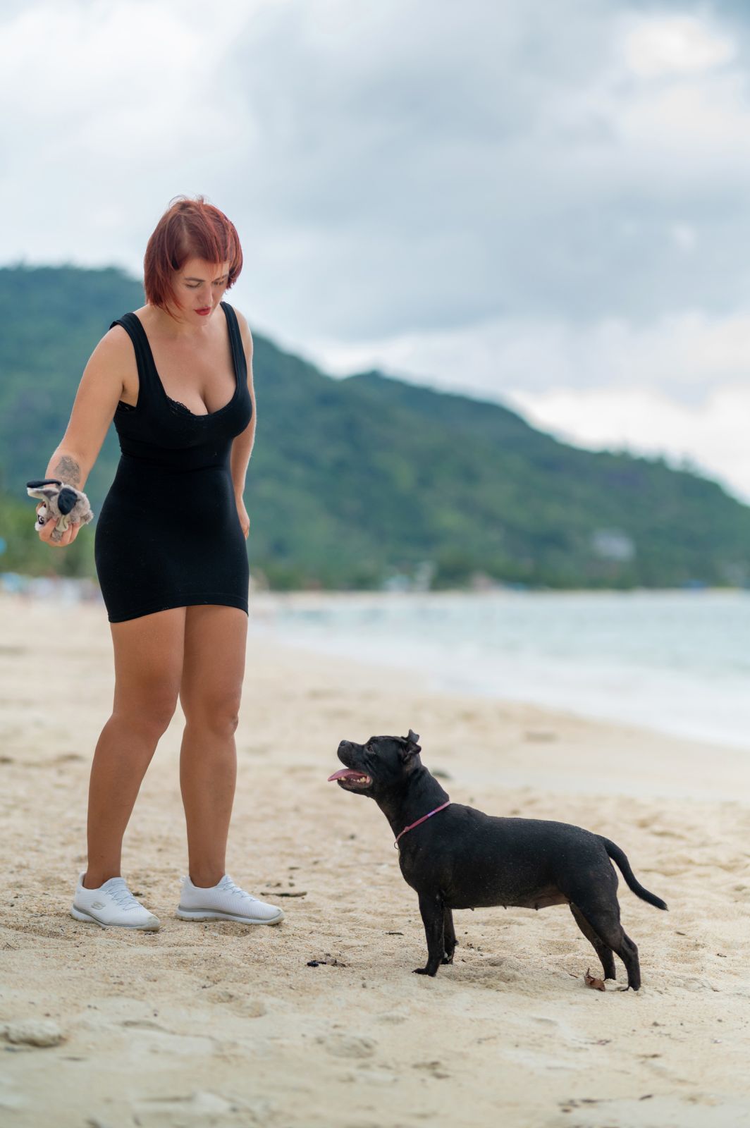 Valeriia @EasyDogMe. Dog photo shoot. Photo 117858 (2023-05-03 22:16:30)