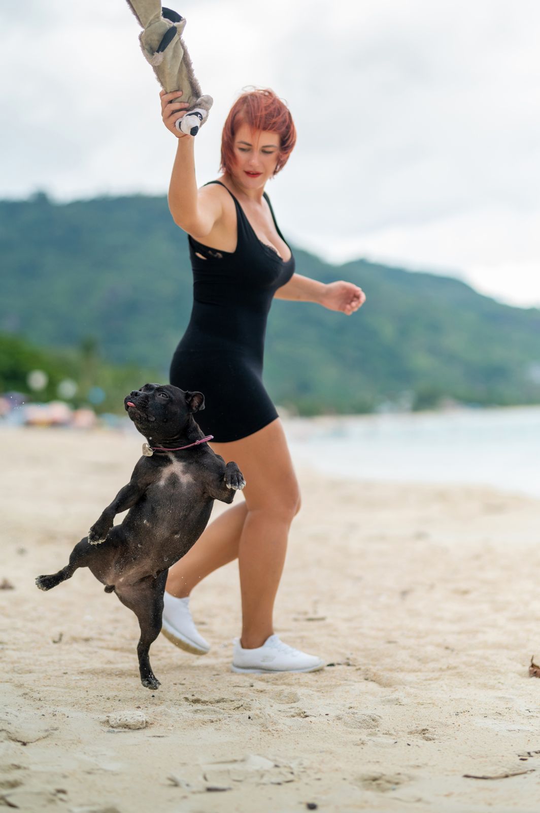 Valeriia @EasyDogMe. Dog photo shoot. Photo 117862 (2023-05-03 22:16:30)