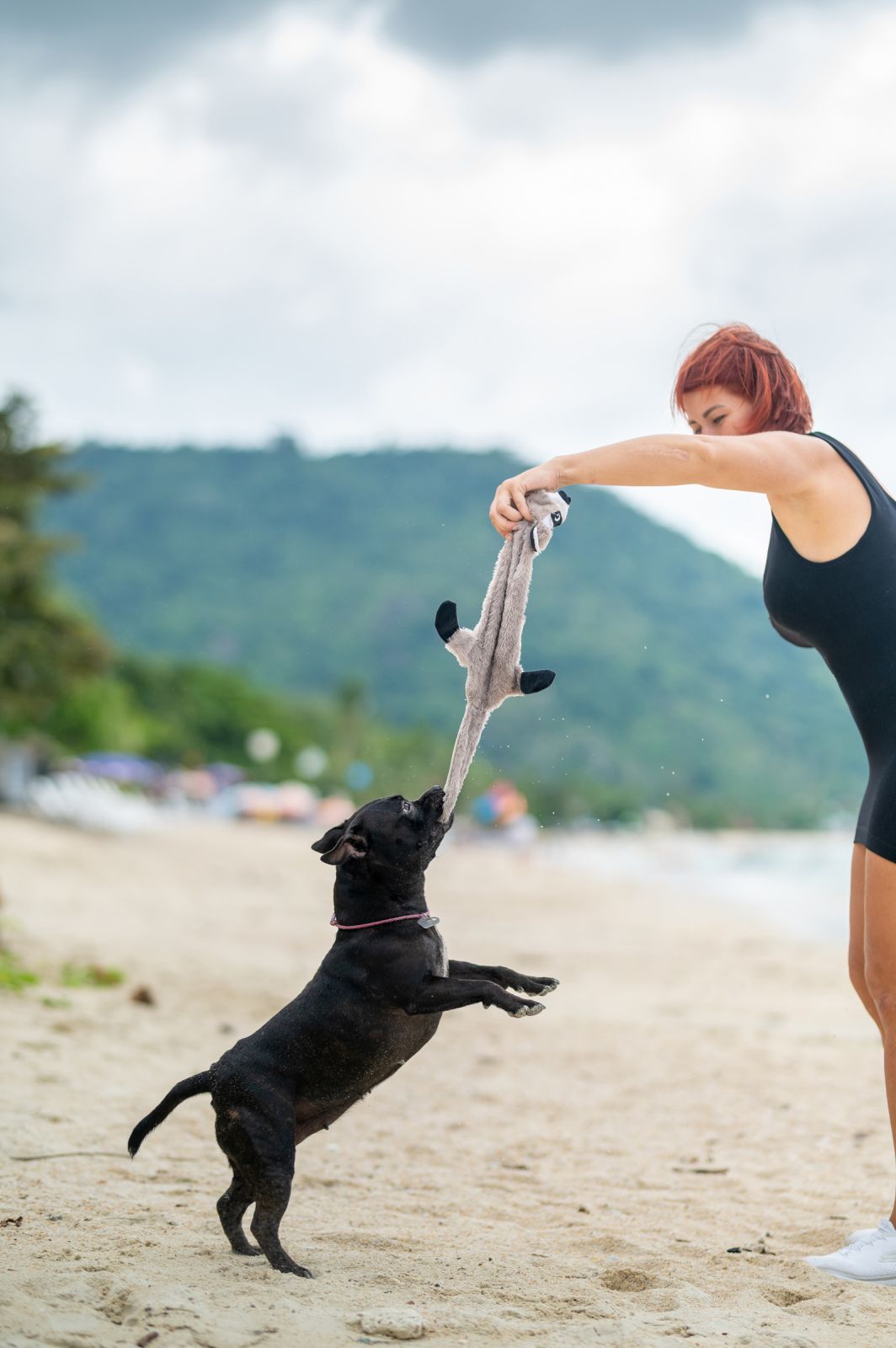 Valeriia @EasyDogMe. Dog photo shoot. Photo 117861 (2023-05-03 22:16:30)