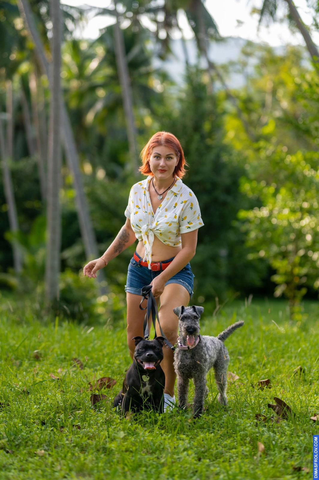 Valeriia @EasyDogMe. Dog photo shoot. Photo 117874 (2023-05-03 22:16:31)