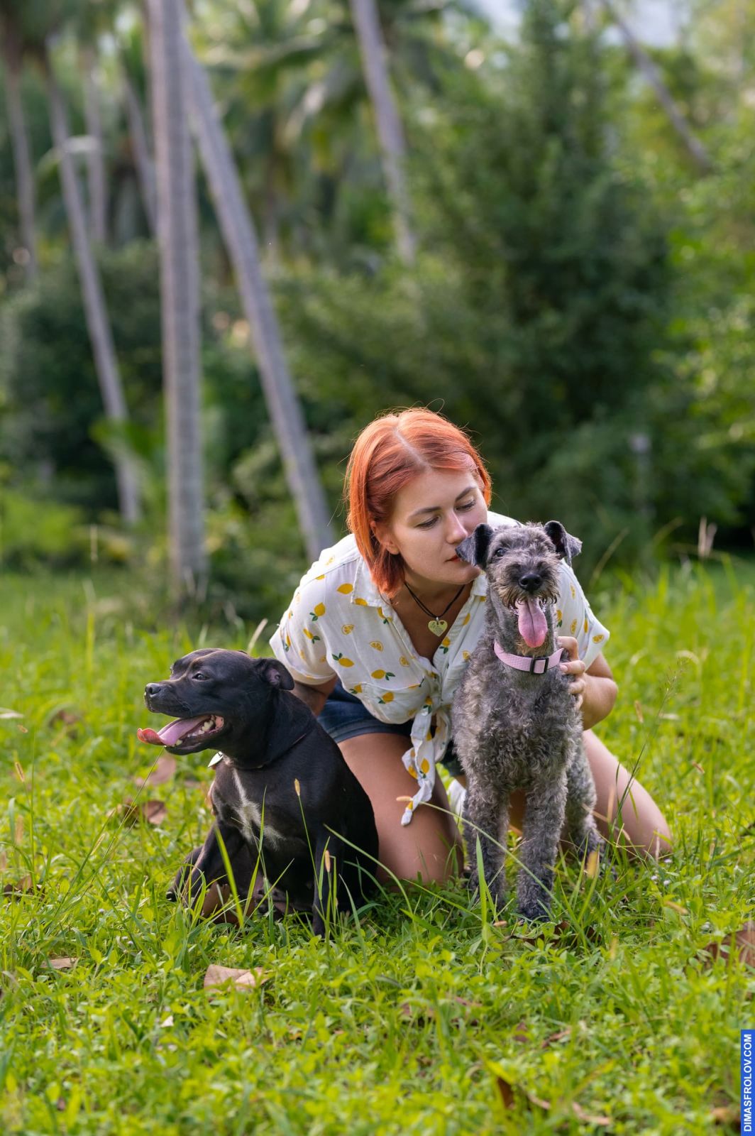 Valeriia @EasyDogMe. Dog photo shoot. Photo 117883 (2023-05-03 22:16:31)