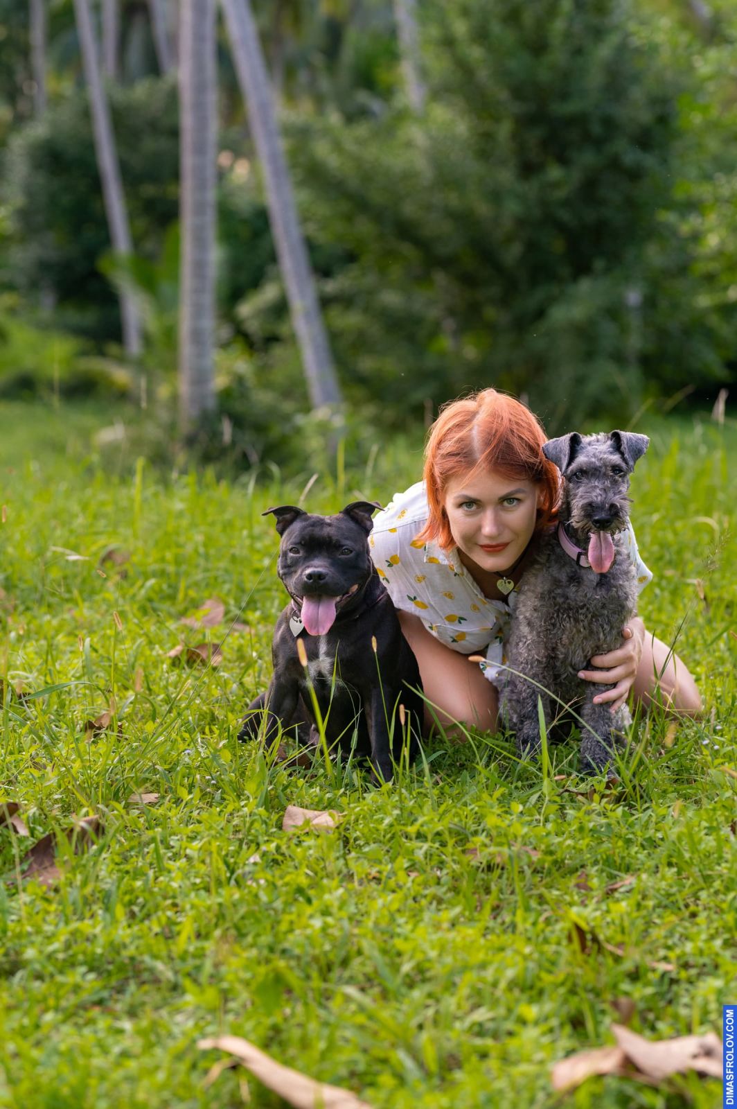 Valeriia @EasyDogMe. Dog photo shoot. Photo 117880 (2023-05-03 22:16:31)