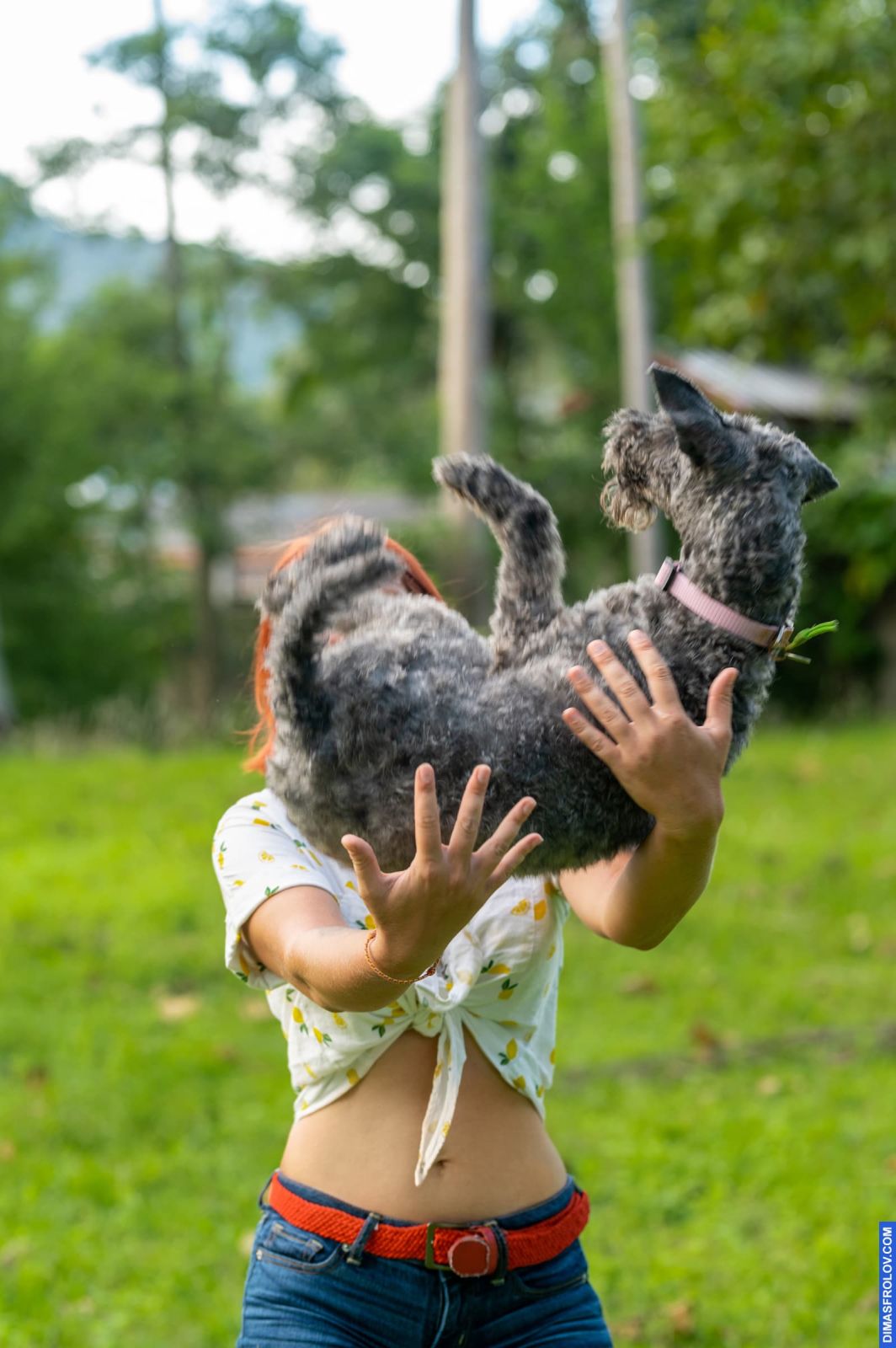 Valeriia @EasyDogMe. Dog photo shoot. Photo 117887 (2023-05-03 22:16:31)