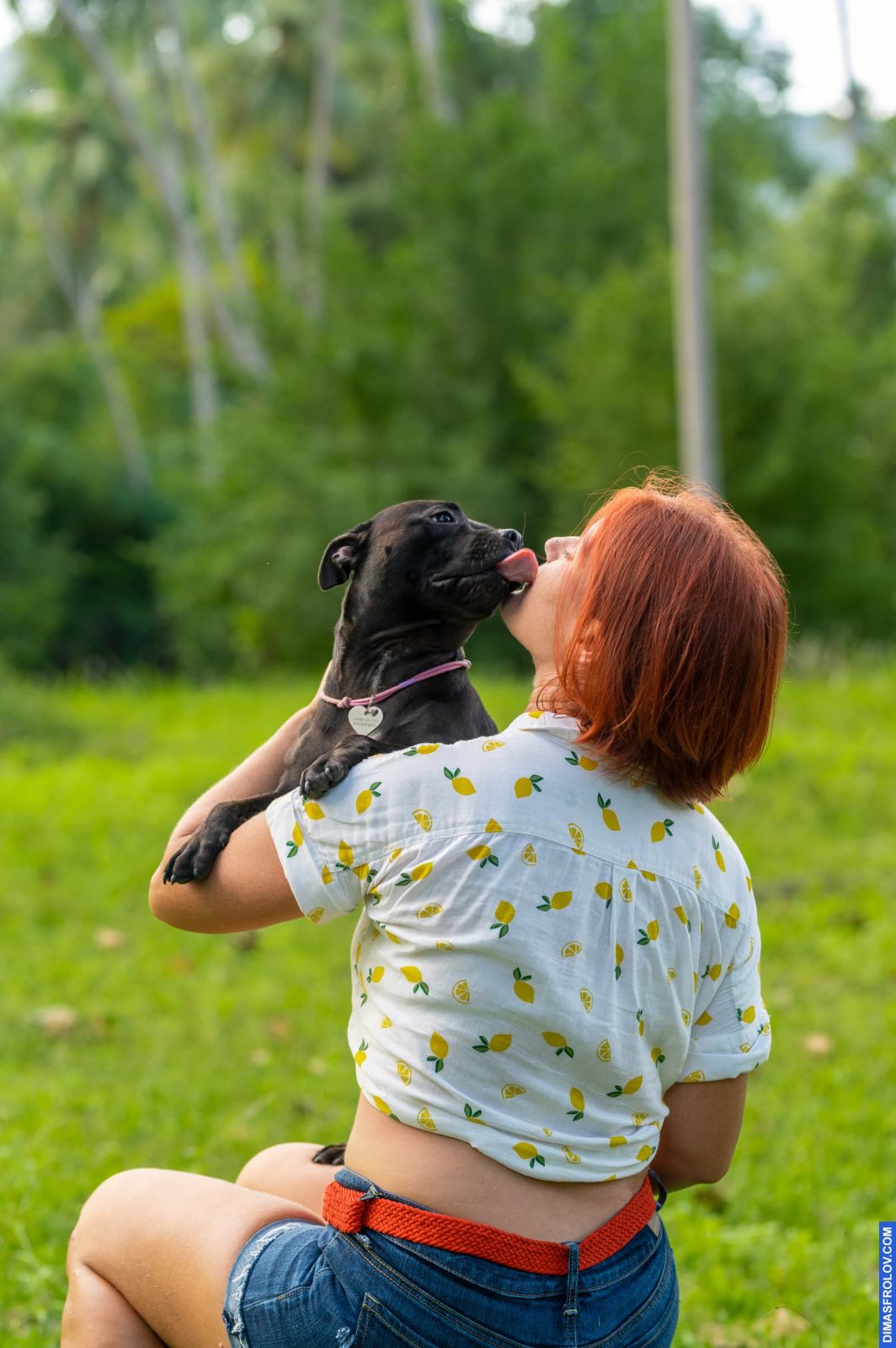 Valeriia @EasyDogMe. Dog photo shoot. Photo 117892 (2023-05-03 22:16:31)