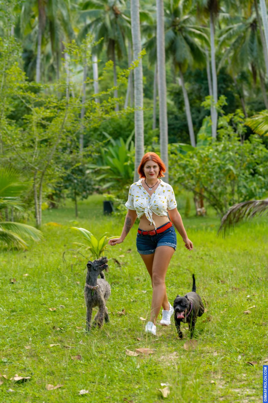 Valeriia @EasyDogMe. Dog photo shoot. Photo 117898 (2023-05-03 22:16:31)