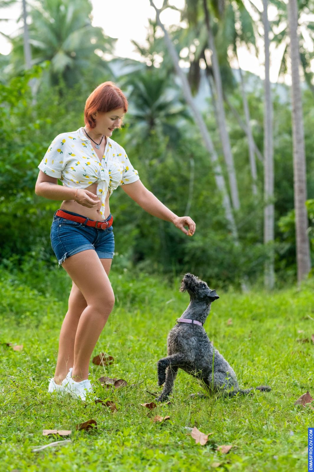 Valeriia @EasyDogMe. Dog photo shoot. Photo 117921 (2023-05-03 22:16:32)