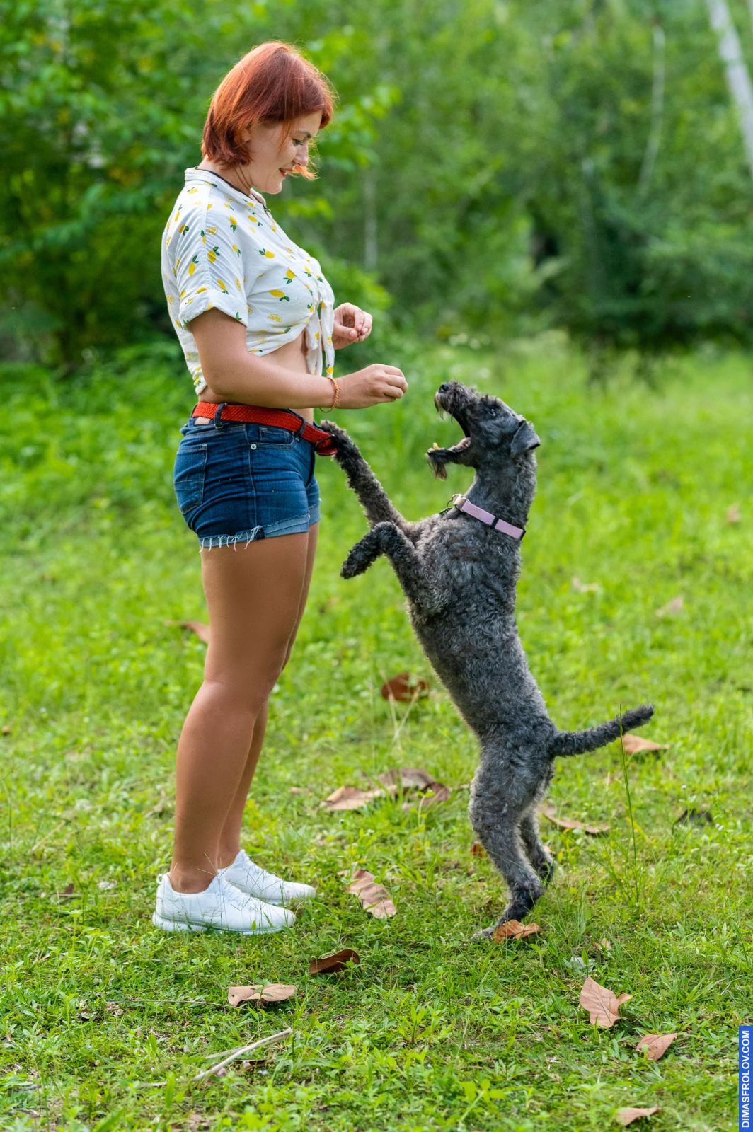 Valeriia @EasyDogMe. Dog photo shoot. Photo 117926 (2023-05-03 22:16:32)