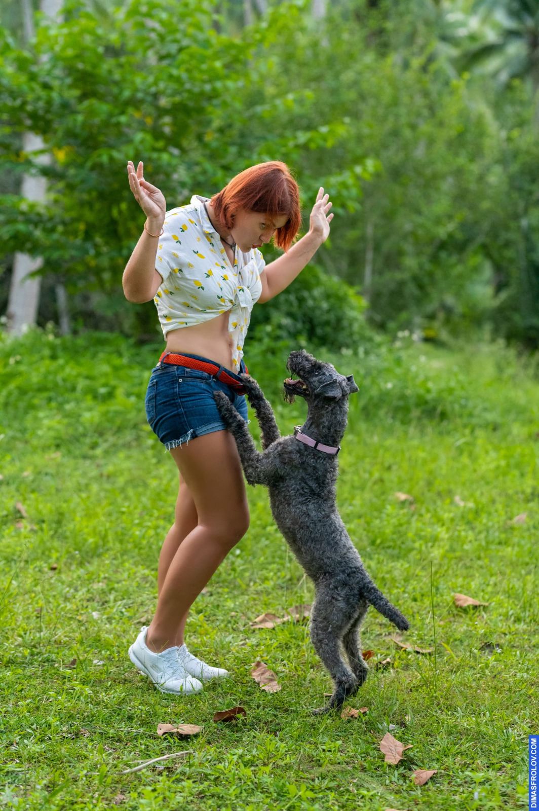 Valeriia @EasyDogMe. Dog photo shoot. Photo 117928 (2023-05-03 22:16:32)