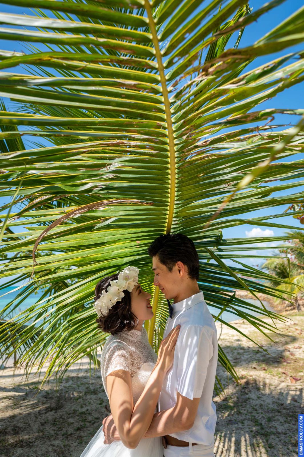 Yuka & Yuichi. Pre-wedding photo shoot. Photo 124947 (2023-05-03 22:18:41)
