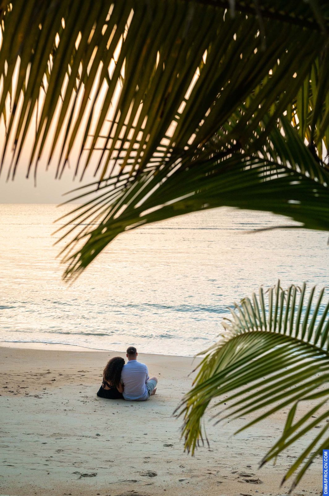 Daniel & Moriel. Surprise proposal photo shoot. Photo 126039 (2023-05-03 22:19:04)