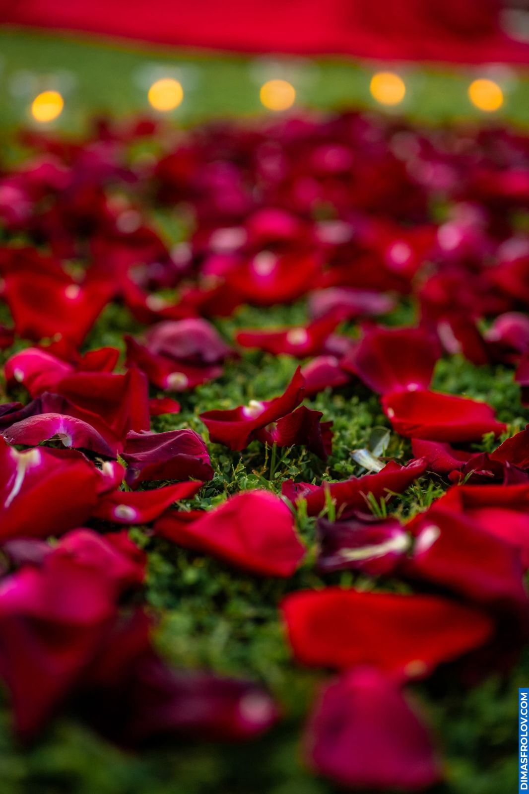 ชุดภาพถ่ายข้อเสนอ Propose Ashish to Anjali. บาทต่อภาพ 129403 (2025-06-15 12:49:03)