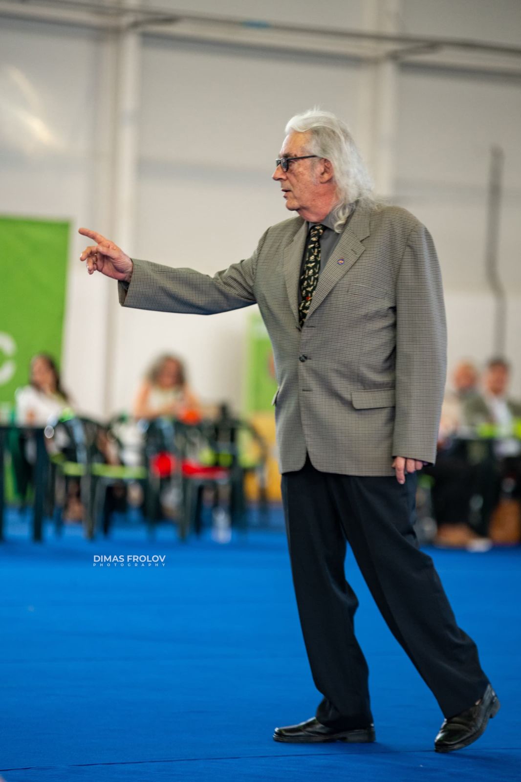 dogs Aveiro Dog Show 2025. photo 129633 (2025-07-20 13:02:58)