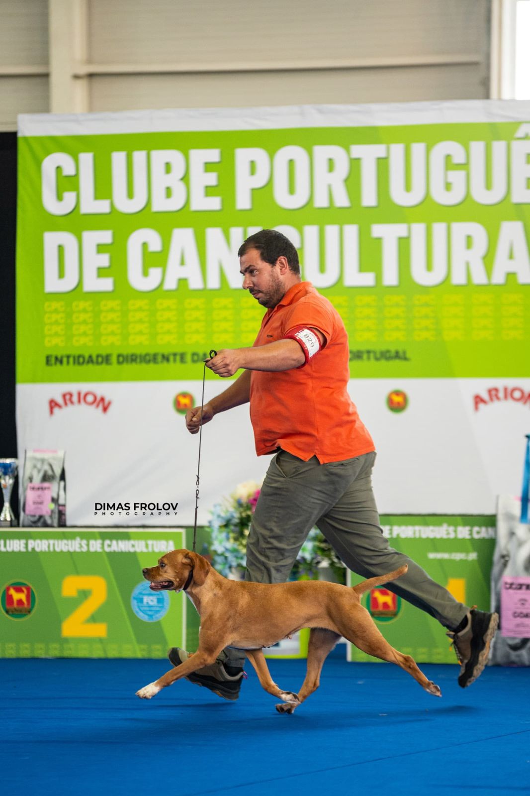 dogs Aveiro Dog Show 2025. photo 129718 (2025-07-20 13:03:04)