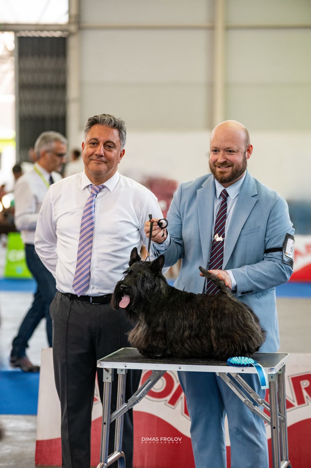 dogs Aveiro Dog Show 2025. photo 129724 (2025-07-20 13:03:05)