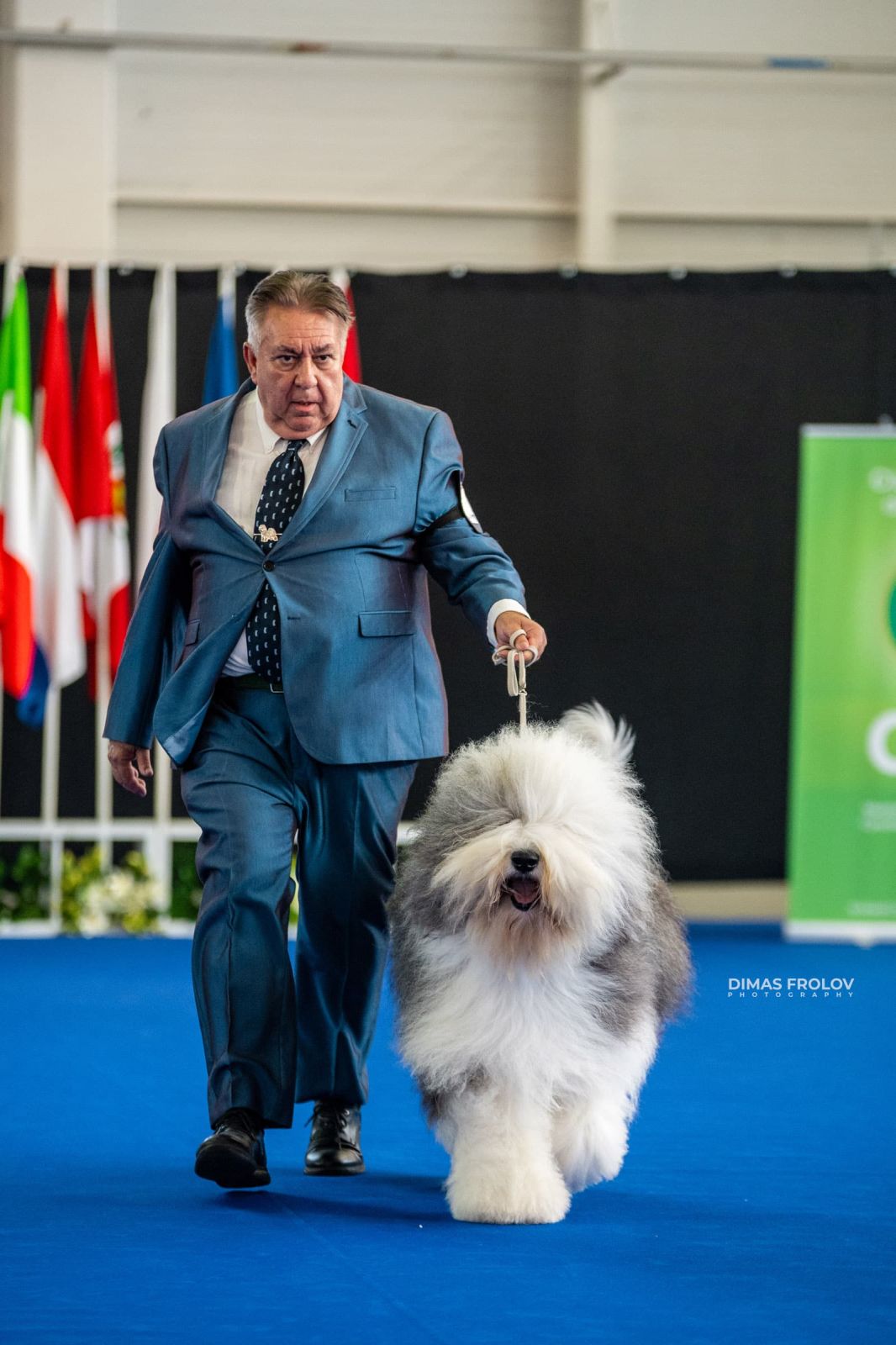 dogs Aveiro Dog Show 2025. photo 129748 (2025-07-20 13:03:06)