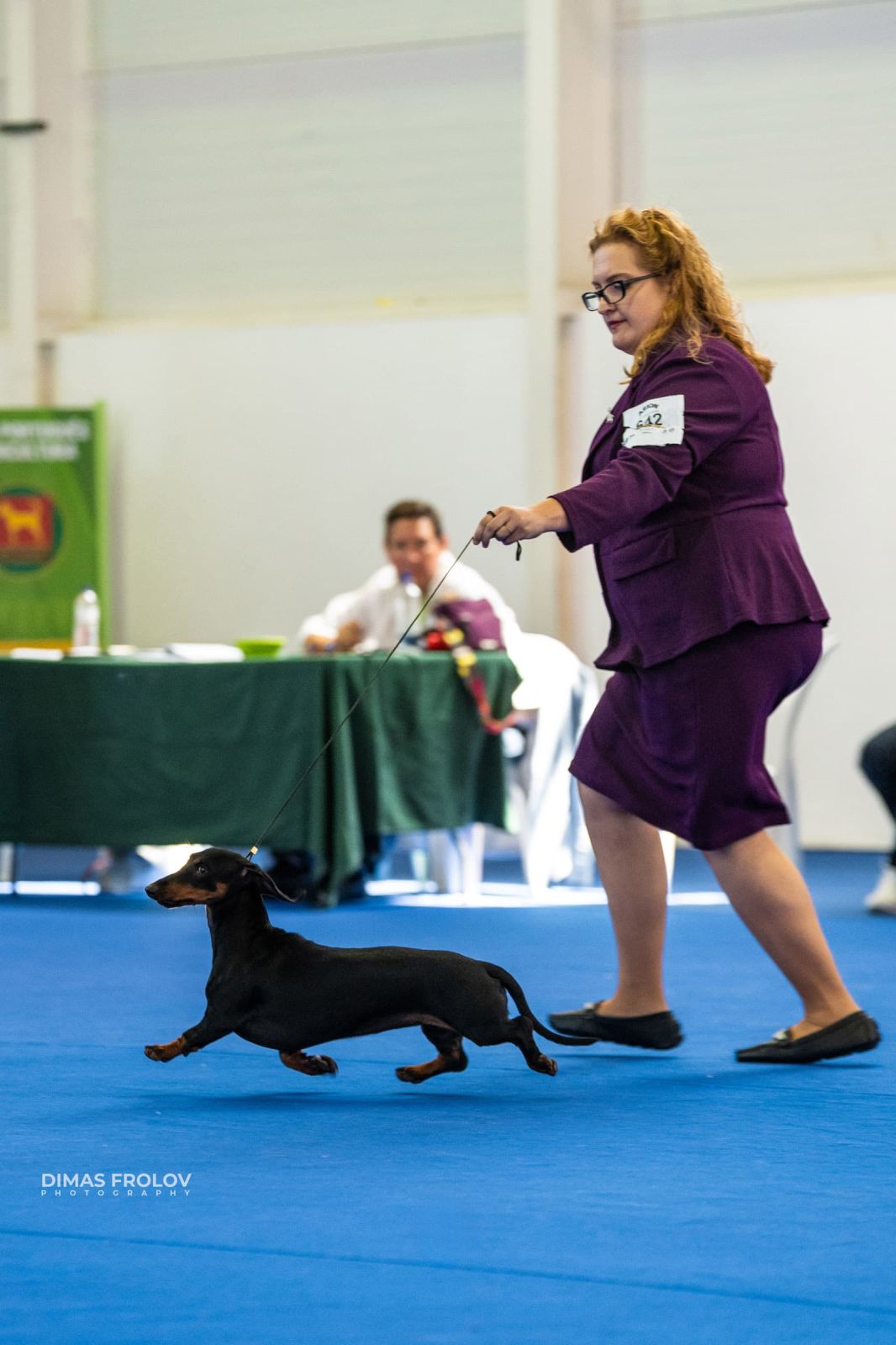 dogs Aveiro Dog Show 2025. photo 129708 (2025-07-20 13:03:04)
