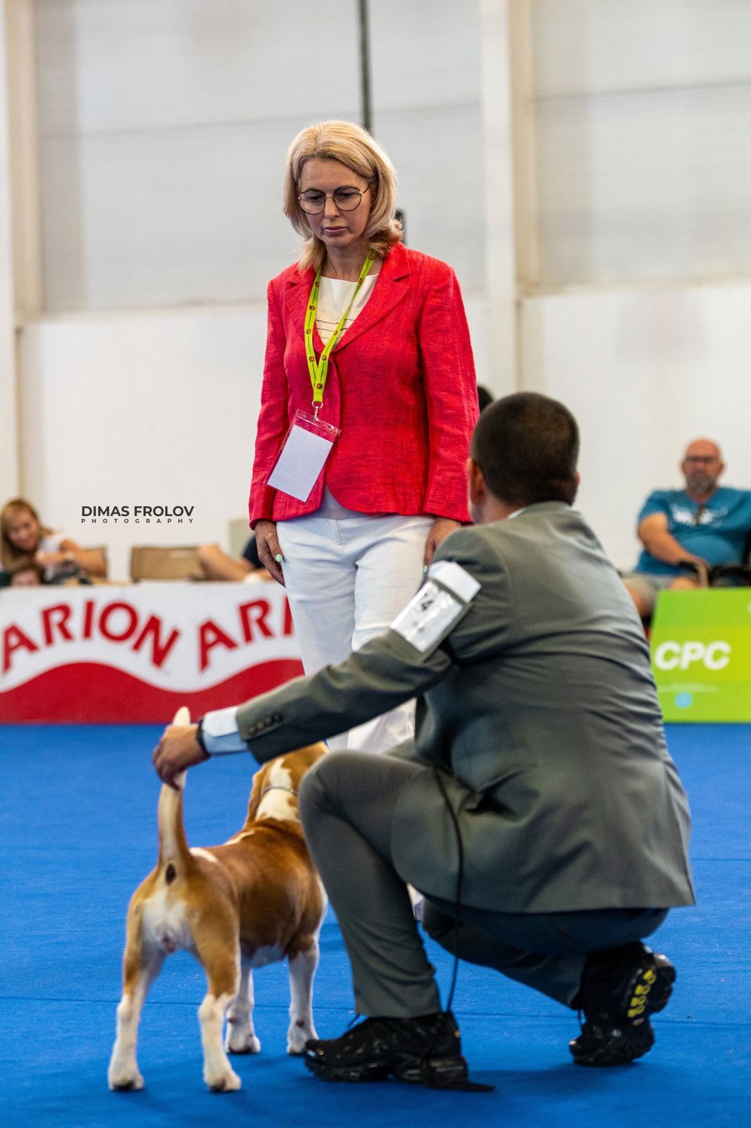 dogs Aveiro Dog Show 2025. photo 129723 (2025-07-20 13:03:05)