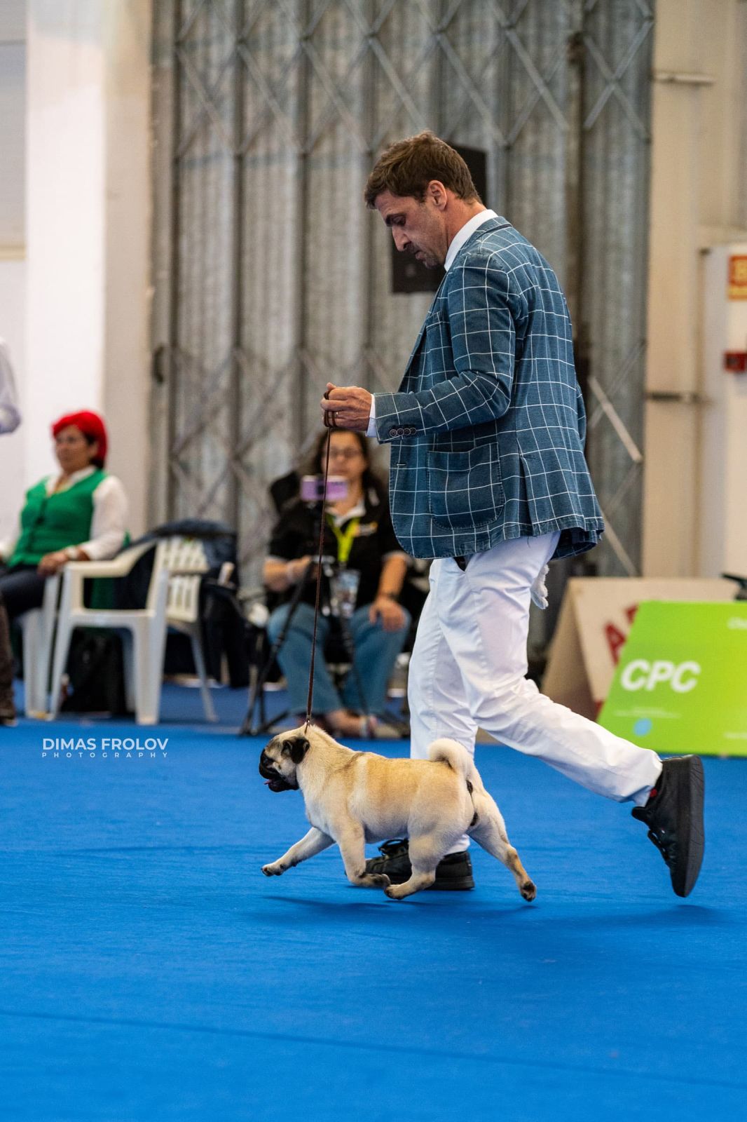 dogs Aveiro Dog Show 2025. photo 129653 (2025-07-20 13:03:00)
