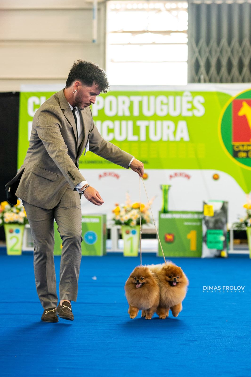 dogs Aveiro Dog Show 2025. photo 129665 (2025-07-20 13:03:01)
