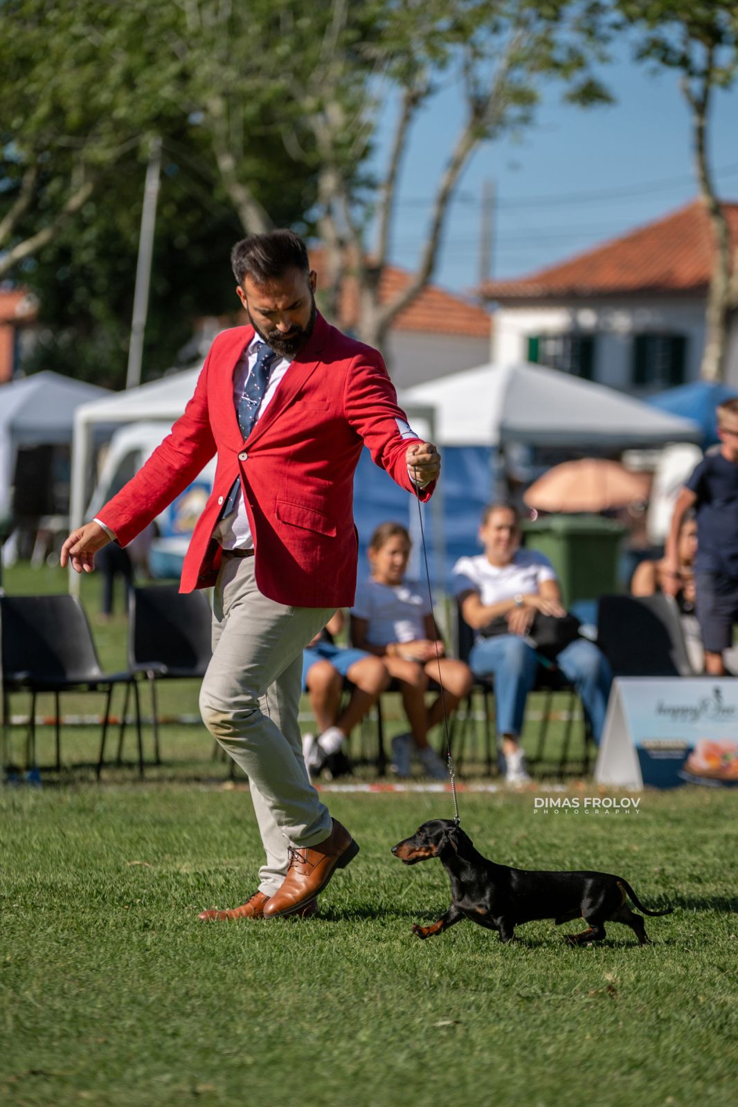 Фотограф собак в Лиссабоне — выставки собак в Синтре 2025. Фото 130150 (2025-08-08 21:38:51)