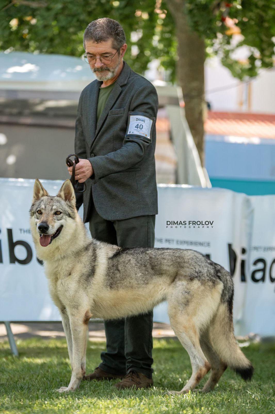 dogs การแสดงสุนัขในอเลนเตโจ. บาทต่อภาพ 130327 (2025-09-12 11:39:27)