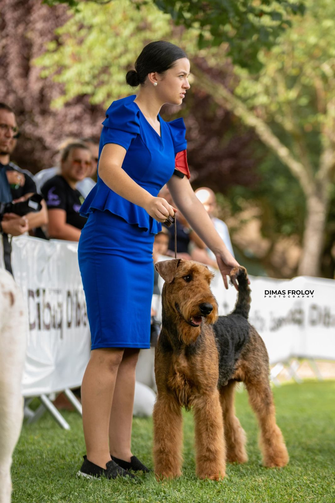dogs การแสดงสุนัขในอเลนเตโจ. บาทต่อภาพ 130359 (2025-09-12 11:39:29)