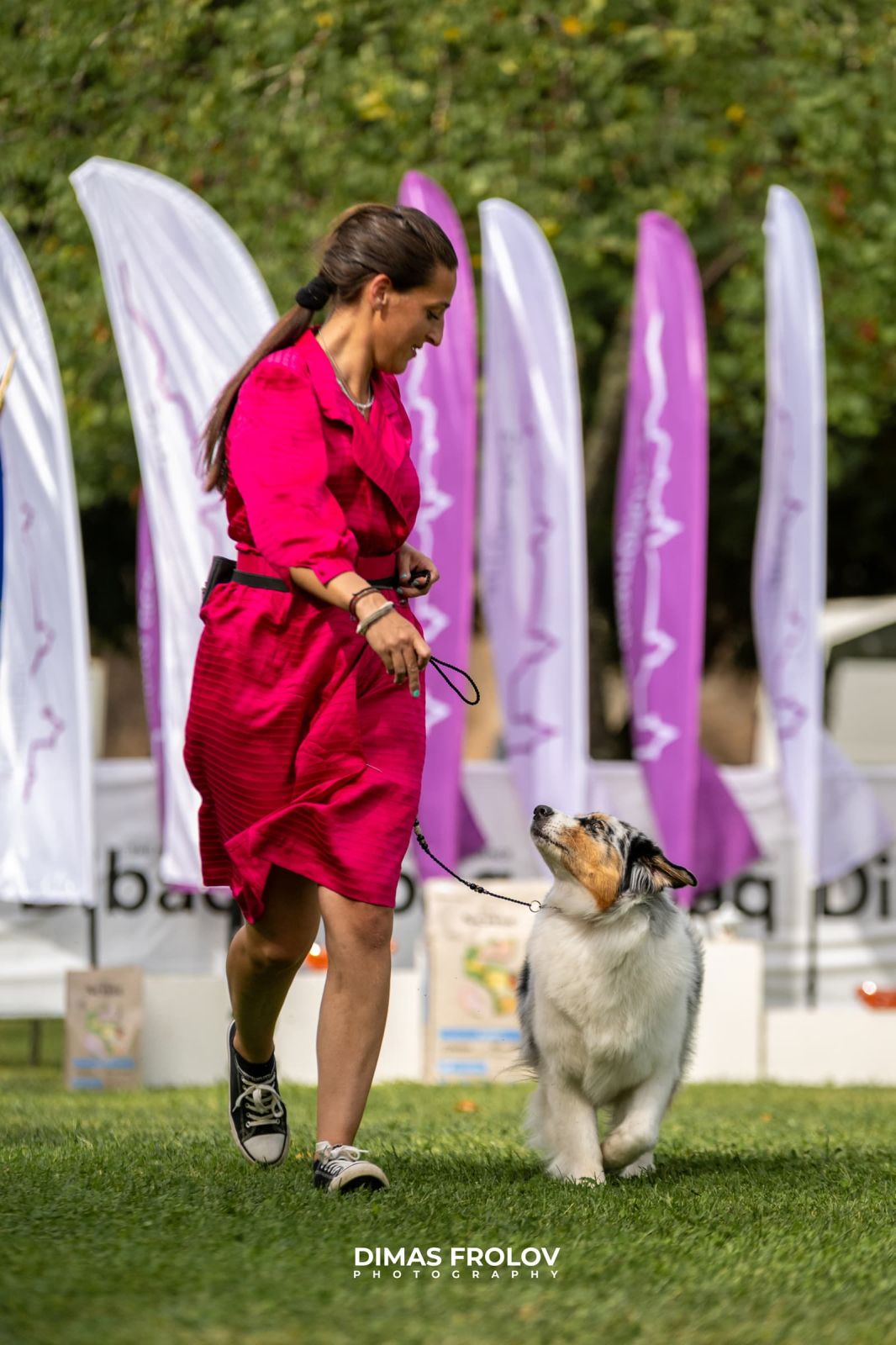dogs การแสดงสุนัขในอเลนเตโจ. บาทต่อภาพ 130356 (2025-09-12 11:39:28)