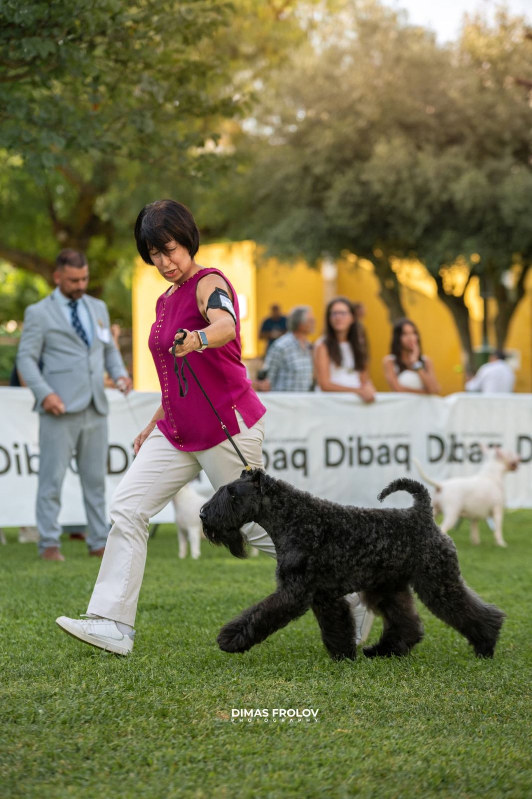 dogs การแสดงสุนัขในอเลนเตโจ. บาทต่อภาพ 130341 (2025-09-12 11:39:28)