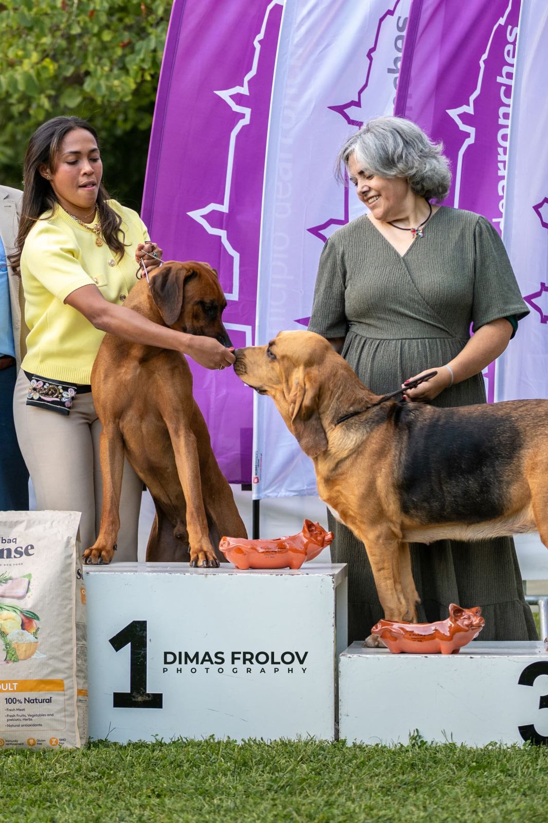 dogs การแสดงสุนัขในอเลนเตโจ. บาทต่อภาพ 130373 (2025-09-12 11:39:30)