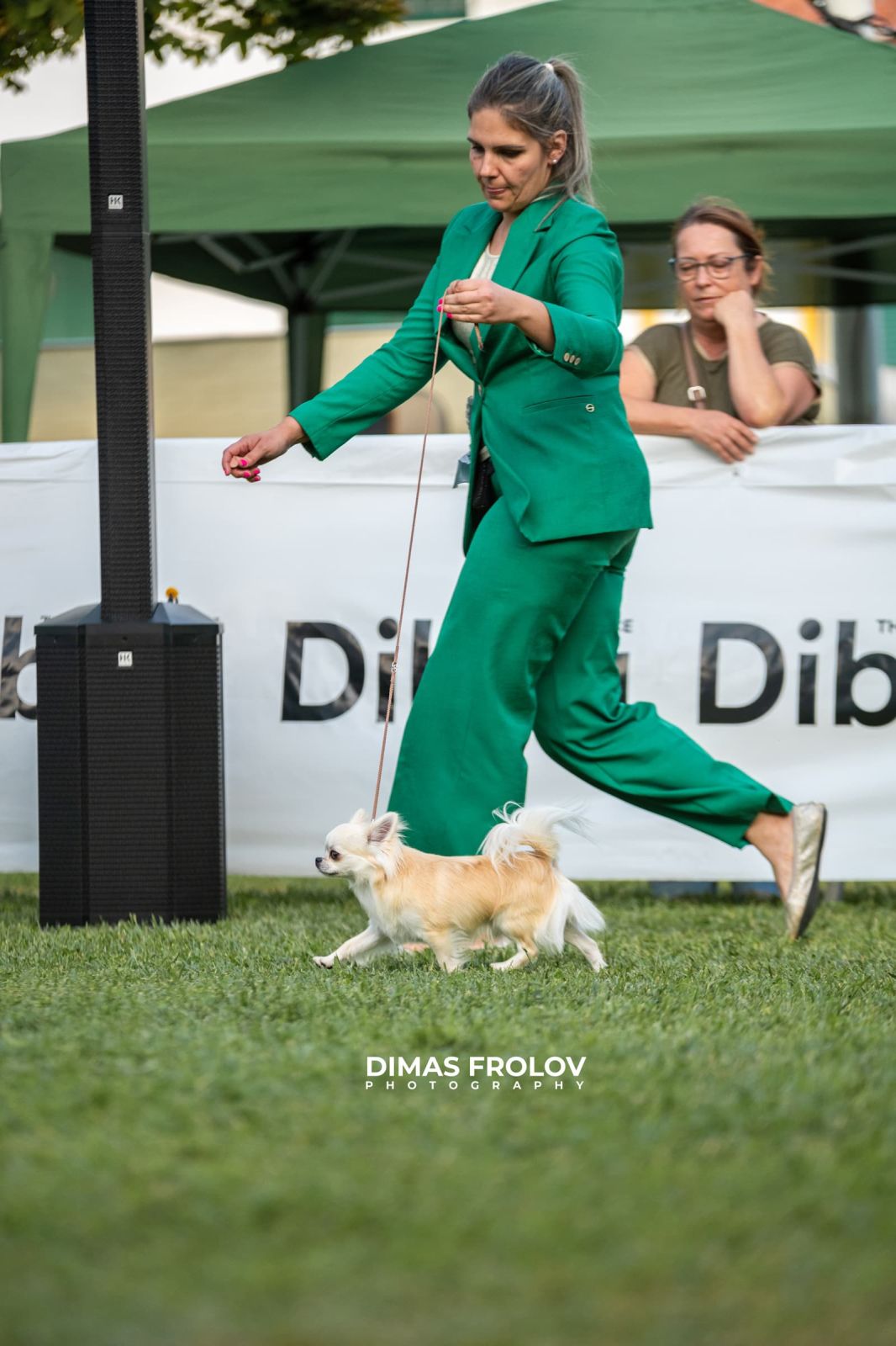 dogs การแสดงสุนัขในอเลนเตโจ. บาทต่อภาพ 130334 (2025-09-12 11:39:27)