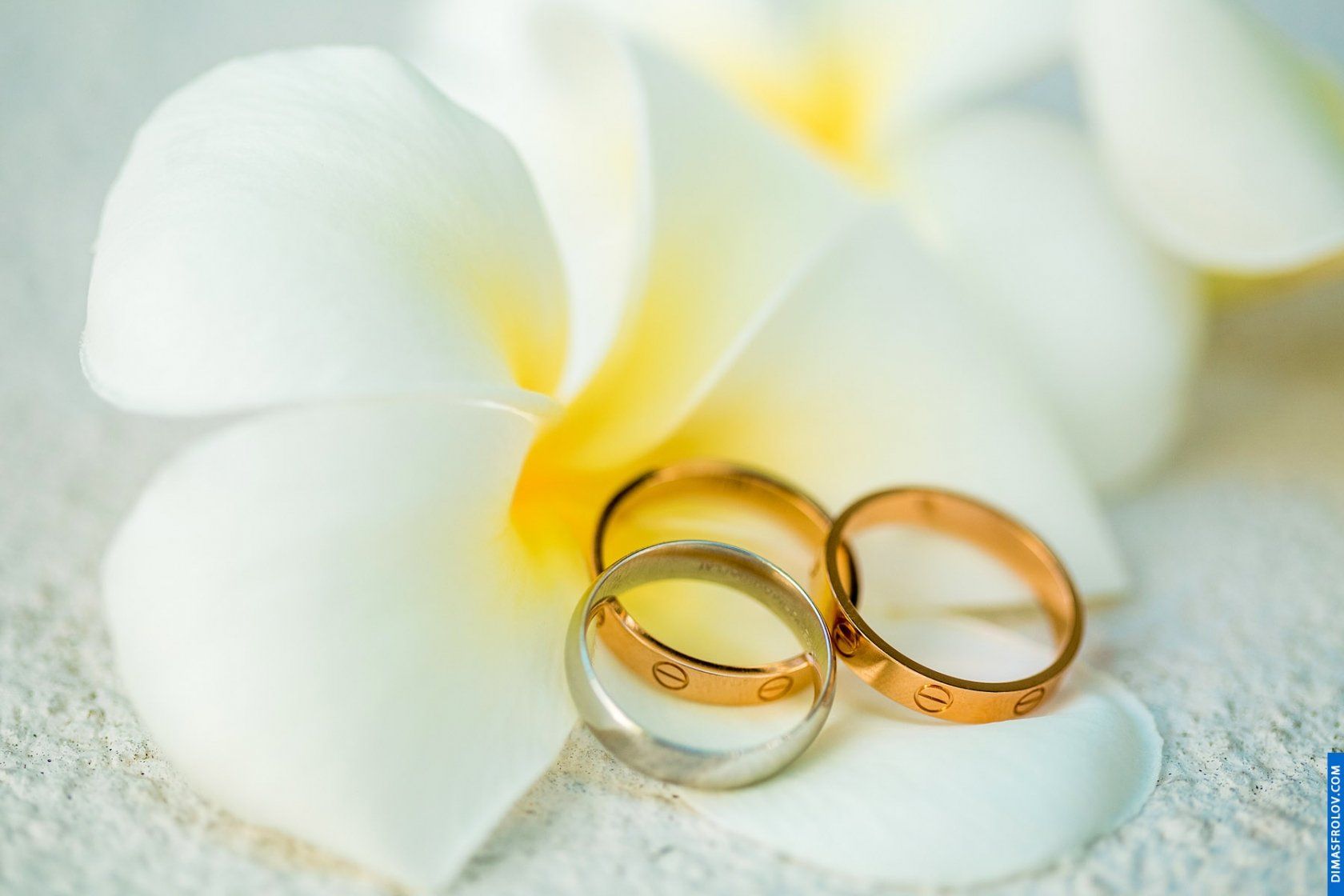 Destination wedding at Ban Suriya Villa. Photo 11 (2023-05-03 21:42:30)