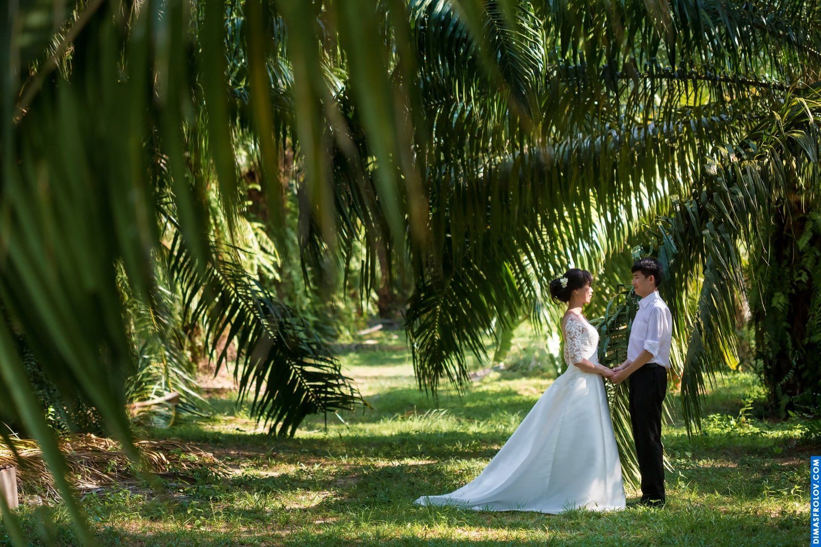 prewedding Charlie และ Helen. บาทต่อภาพ 37697 (2023-05-03 21:52:24)