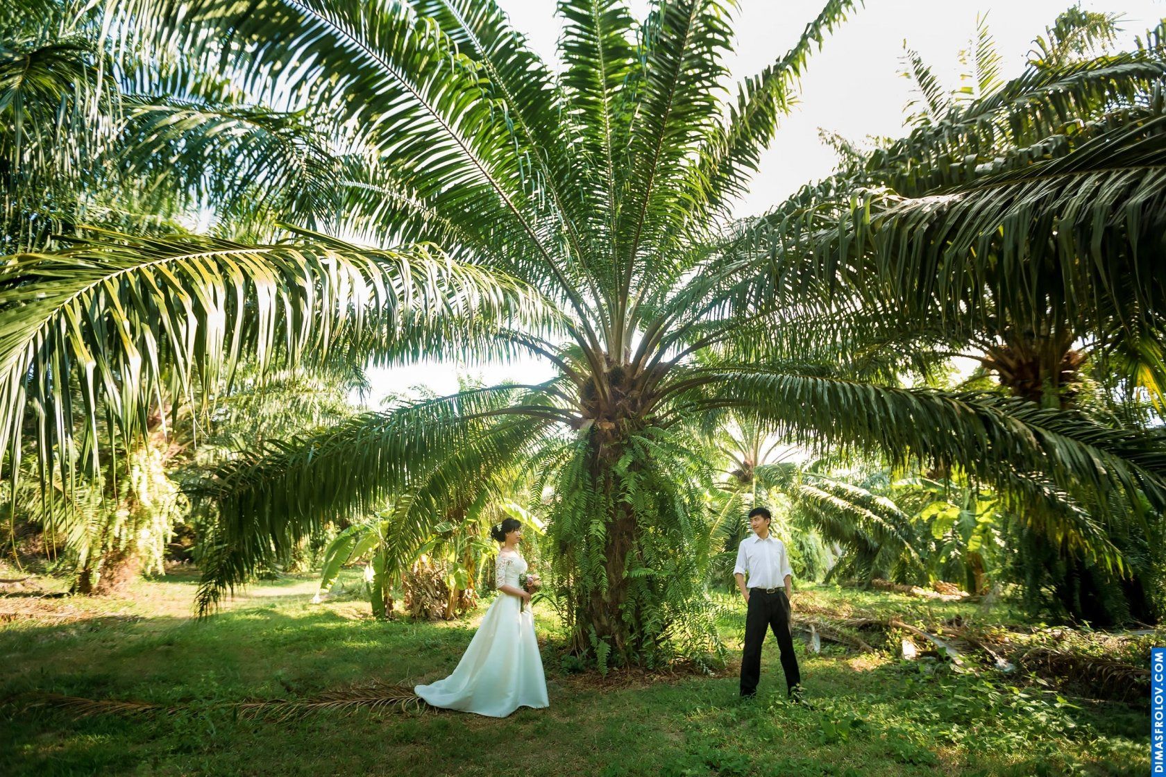 prewedding Charlie และ Helen. บาทต่อภาพ 37713 (2023-05-03 21:52:24)
