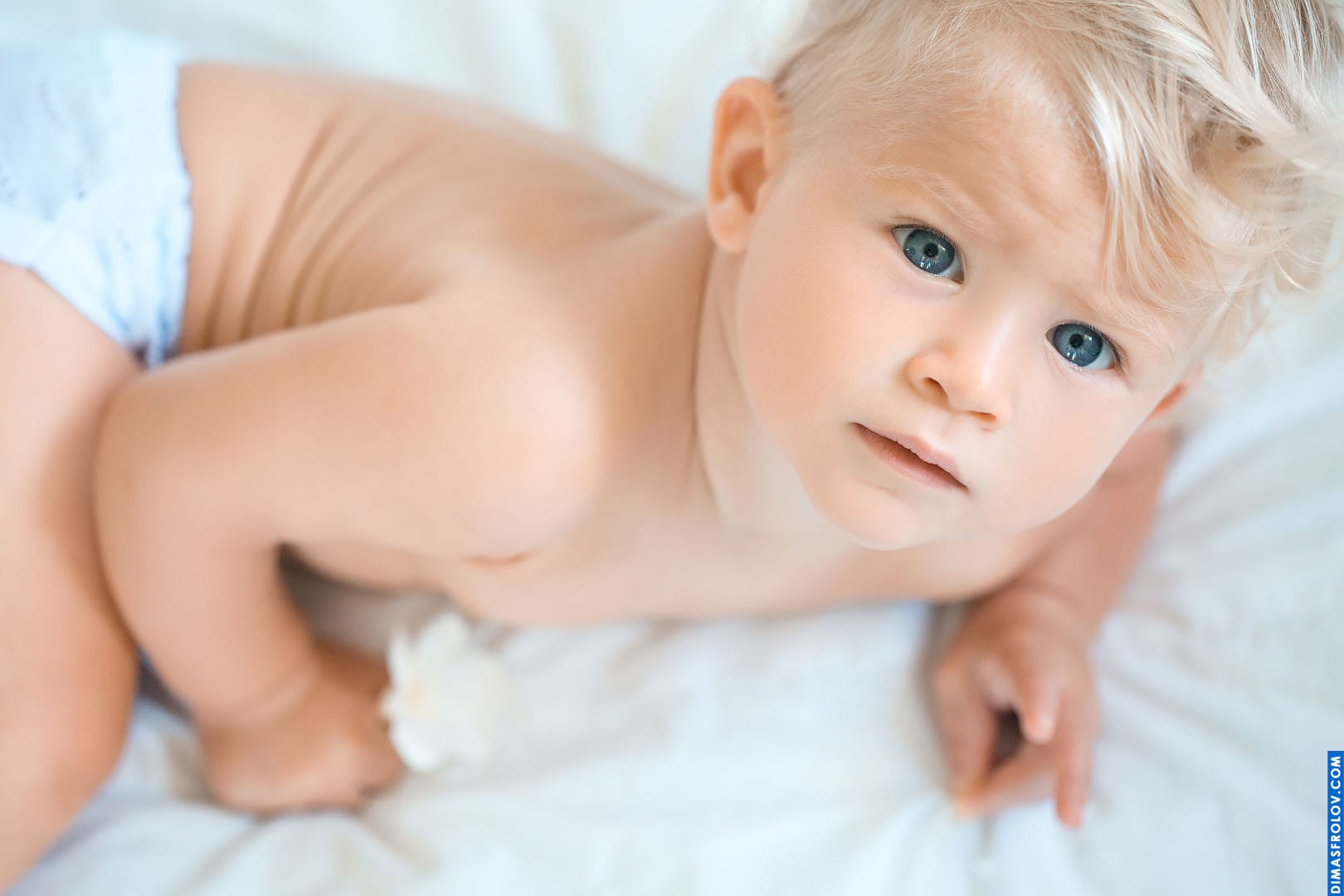 Fotografia de família e crianças Sessão fotográfica da família Shishkin. Aniversário da Mila. foto 89485 (2023-05-03 22:07:34)