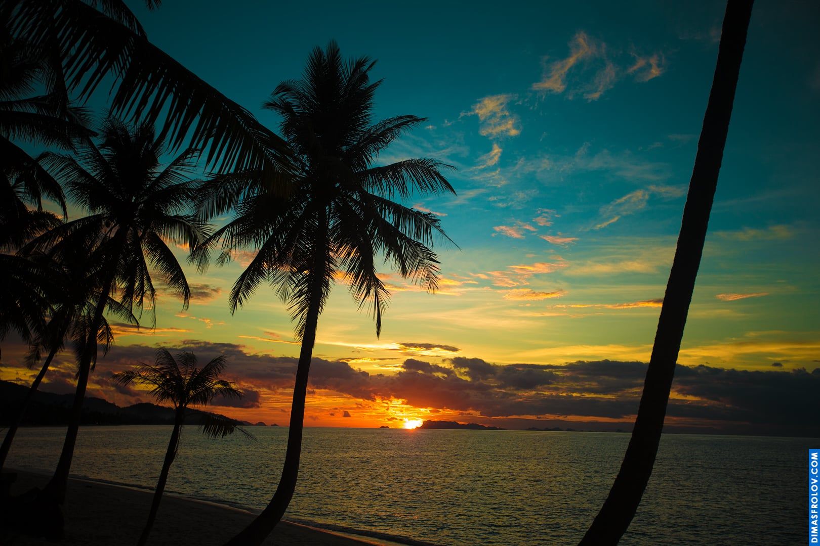 Praia tropical ao pôr do sol com palmeiras silhuetadas contra o céu colorido, refletindo na água