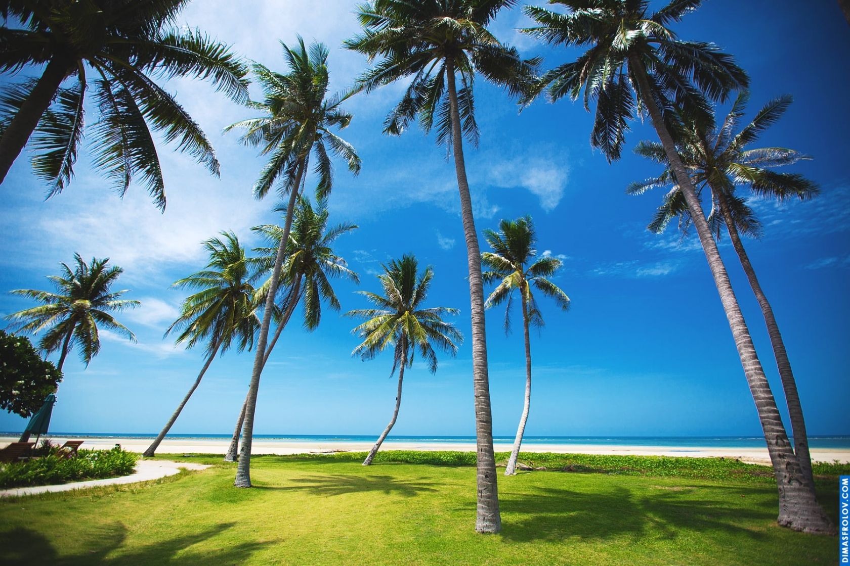 Praia tropical com altas palmeiras projetando sombras na areia branca sob um céu azul claro