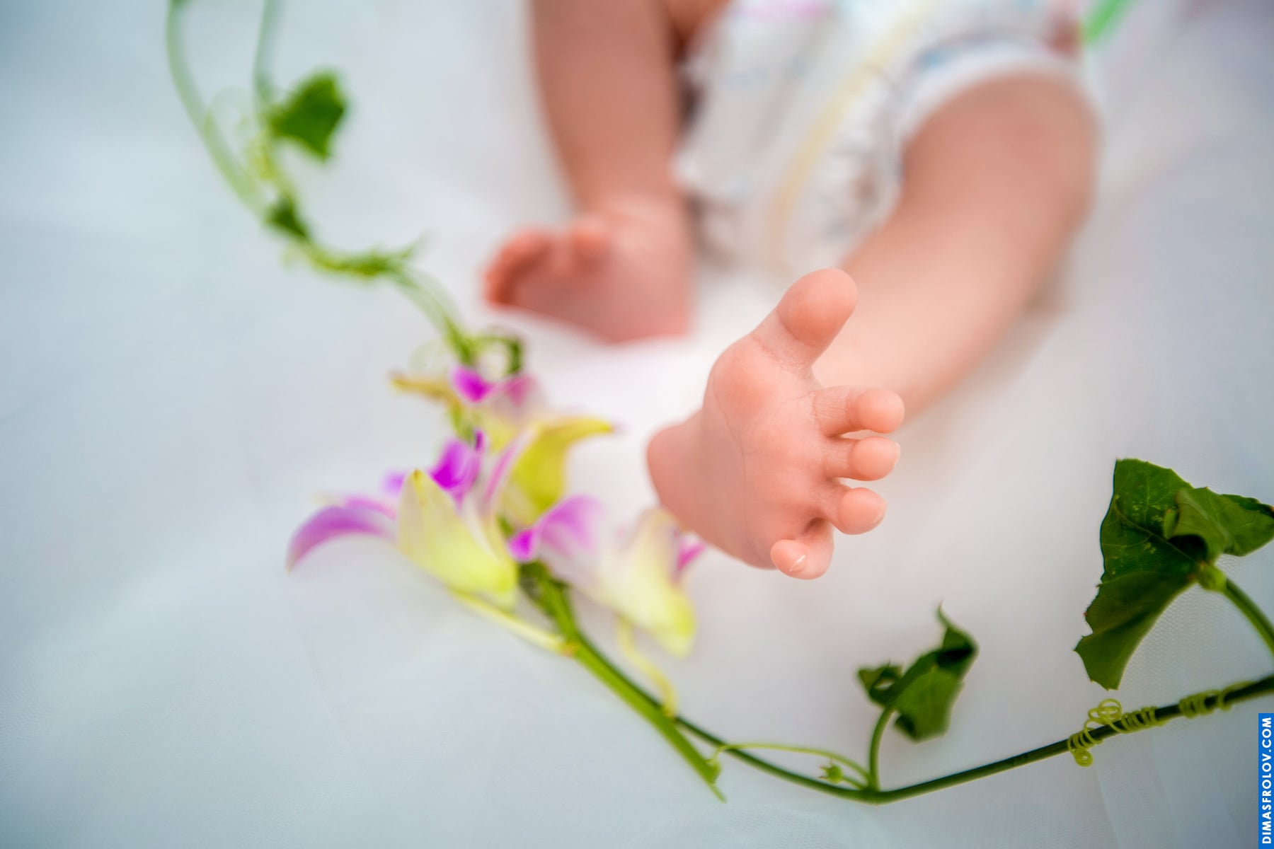Portfolio of maternity & newborn photos . Examples from Lisbon based photographer. . Photo DP7A826996fde50382.